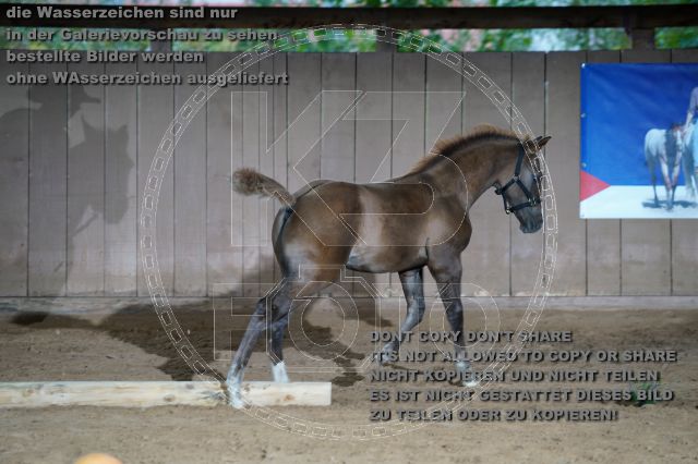s_K3F04780.JPG